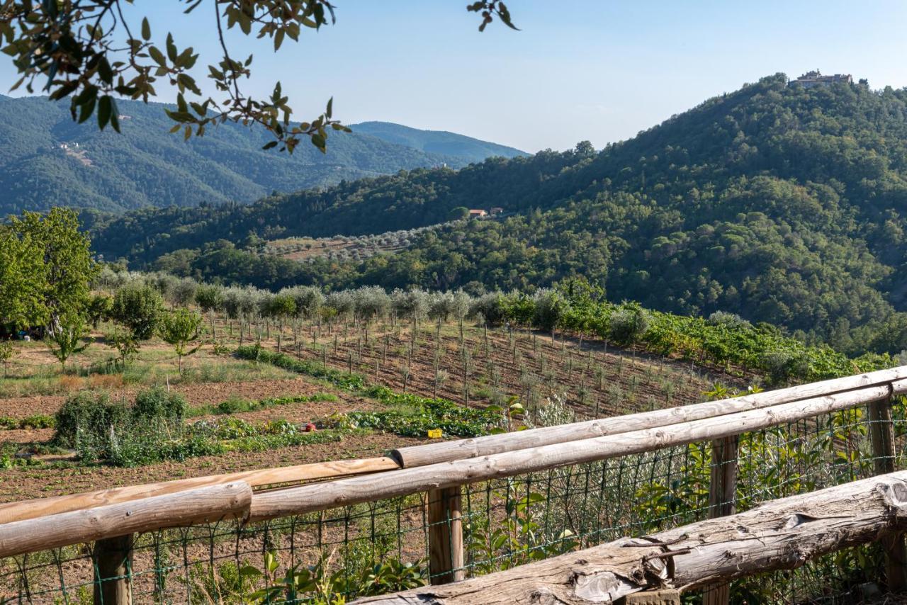 Вилла Poggio Al Mandorlo Греве-ин-Кьянти Экстерьер фото